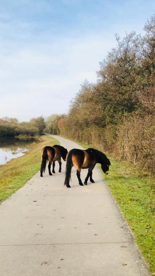 B&B Beach&Bos Oostvoorne Kültér fotó
