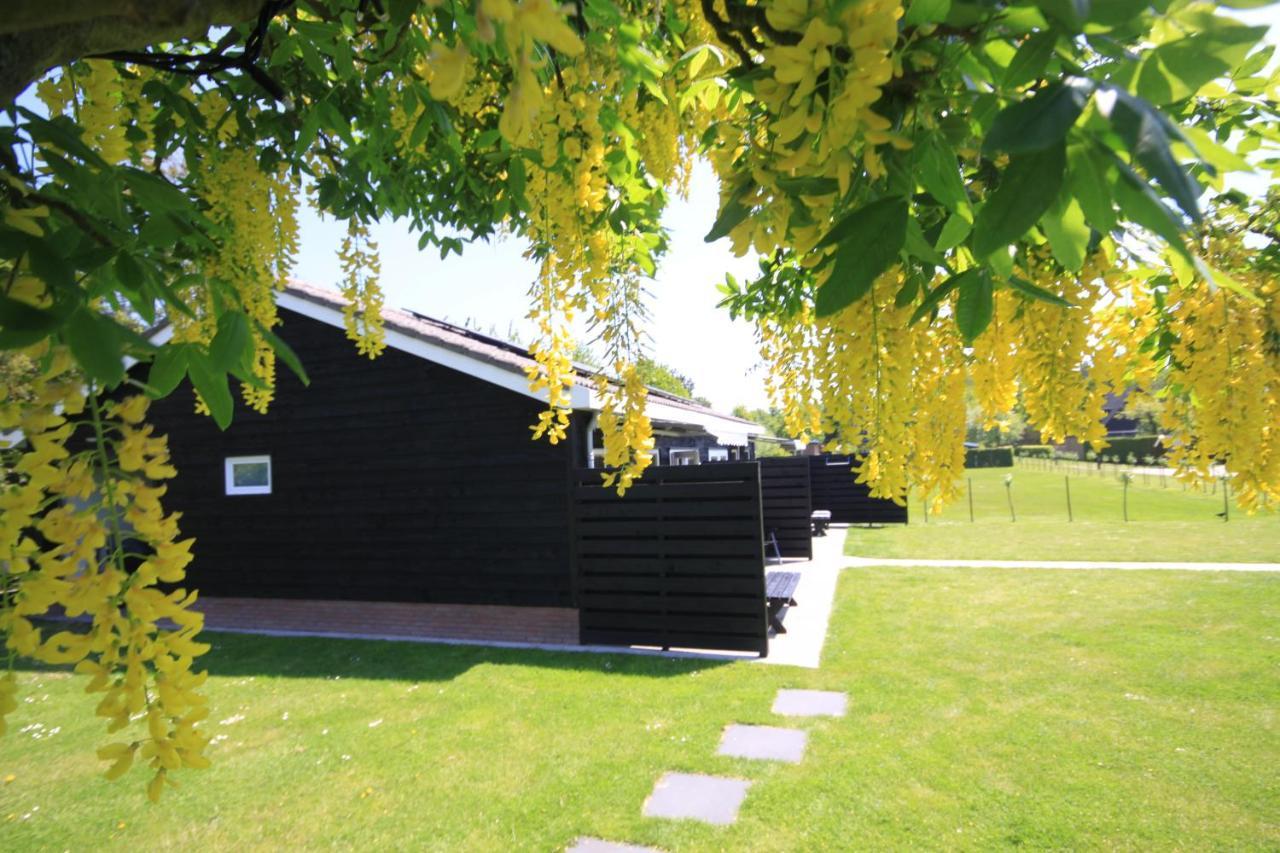 B&B Beach&Bos Oostvoorne Kültér fotó