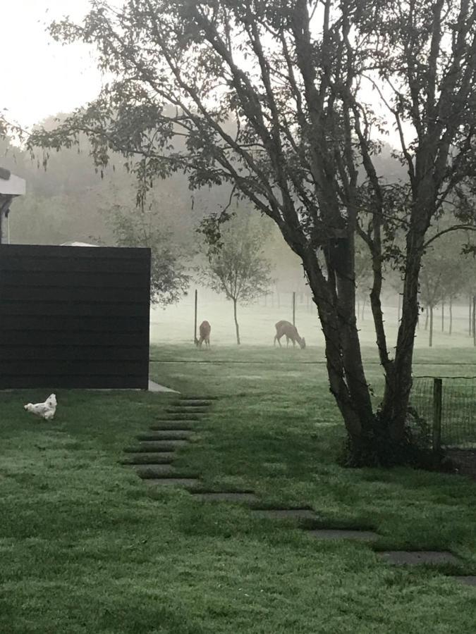 B&B Beach&Bos Oostvoorne Kültér fotó
